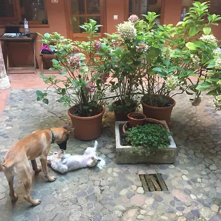 Casa Deogracias Сasa de vacaciones