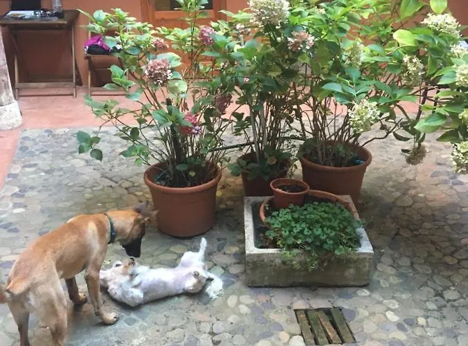 Casa Deogracias Holiday home